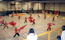 Xia Quan Kung Fu Group Flags
